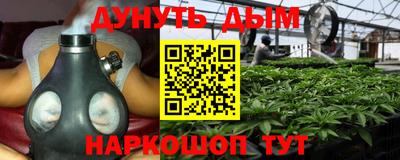 бошки Дубна