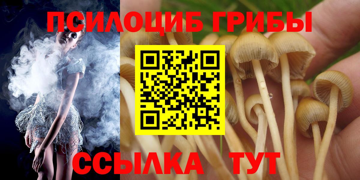 Псилоцибиновые грибы Magic Shrooms  где купить наркоту  Коммунар  Вход с VPN 
